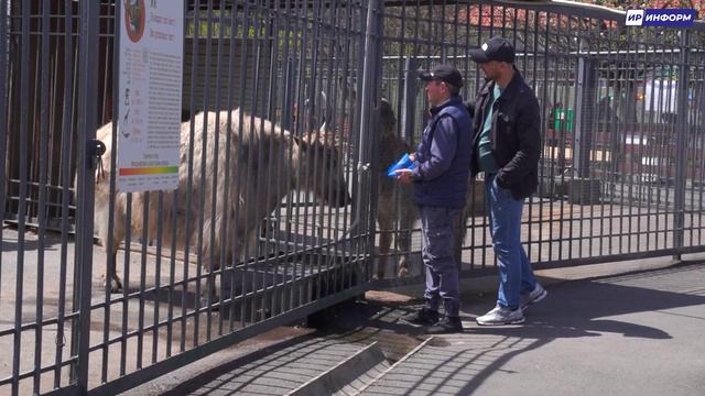 Весна пришла в зоопарк Владикавказа, где зимой никто не спал