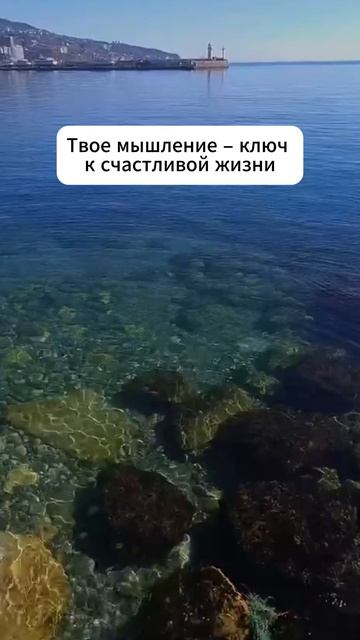 Моя жизнь прекрасна! 👇 #мотивация #заработок #деньги #успех #бизнес #здоровье