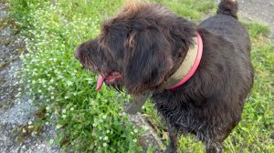 copy_E195DE2F-8520-4A62-877C-41B560144617