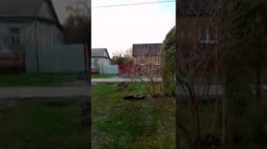 Гальцов наехал