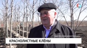 Новости за 20.04.2026