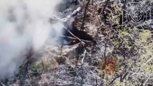💥Бои в Волчанском районе: наши операторы БпЛА зачищают лесные массивы