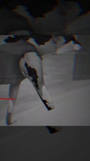 У меня немного мурашки от этого видео😥 (видео мое!)