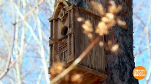 Скворечники, синичники: а на окне - наличники! Доброе утро. Фрагмент выпуска от 22.04.2026