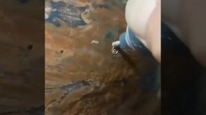 Самое важное — не упасть случайно.