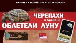Черепахи облетели Луну // Загадка голоса с лунной орбиты