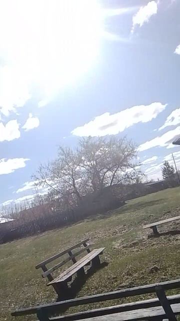 каргаполье