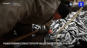 Рыболовам Севастополя выделили 8 млн рублей