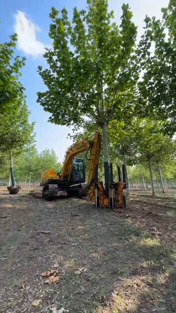 Работает пересадчик деревьев С 160-6