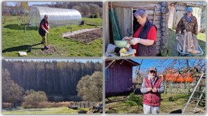 ПОСАДИЛА ГОРТЕНЗИЮ И УДОБРИЛА КУСТИКИ, ЛЁШИК НАВОДИТ ПОРЯДОК В САРАЕ.