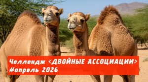 Челлендж ДВОЙНЫЕ АССОЦИАЦИИ | апрель 2026