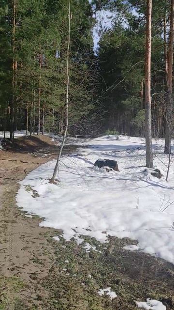 22 Апреля 2026