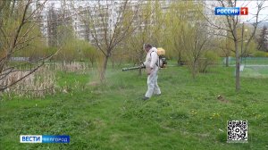 В Белгороде началась масштабная обработка общественных пространств от клещей