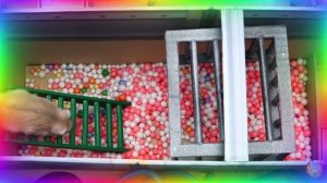 Хомячки против Садовых Монстров – Решающая Битва! часть 6