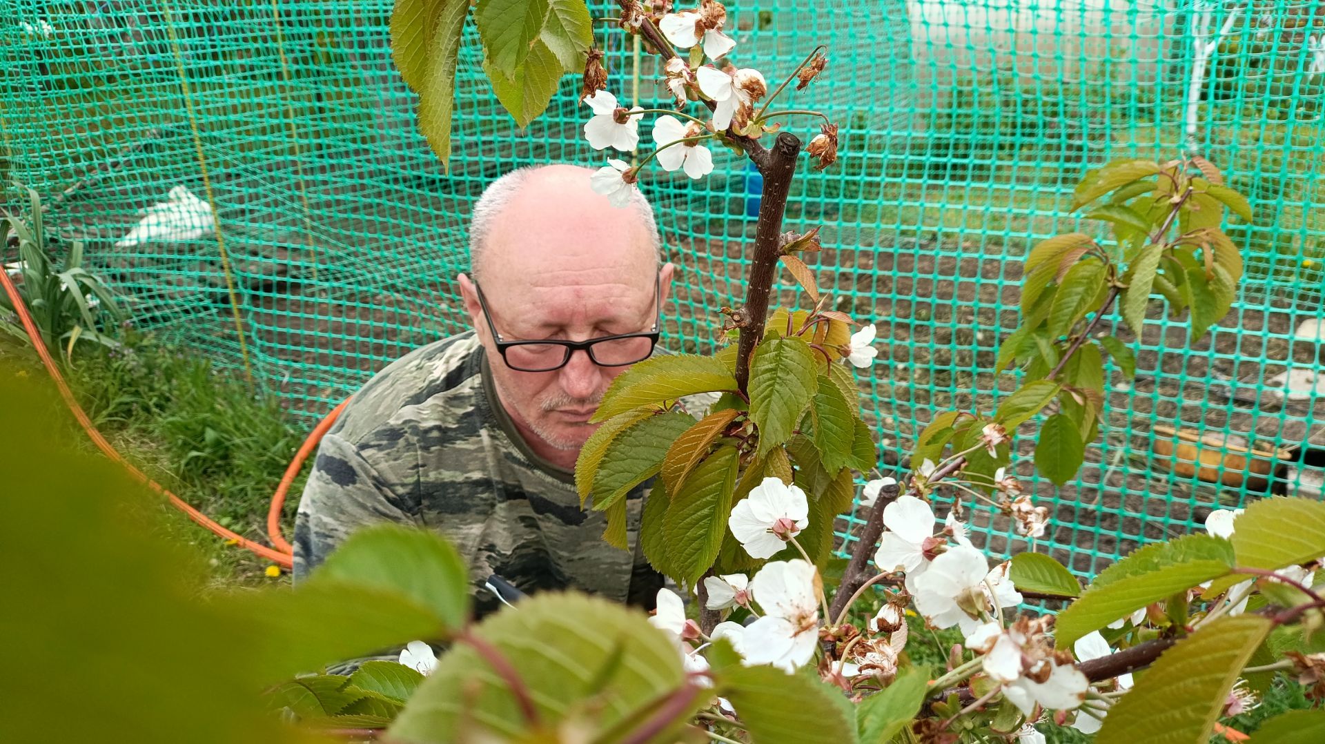 Кошка стала другой. Радоница. Жизнь станичная.