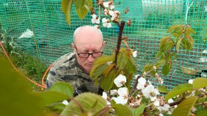 Кошка стала другой. Радоница. Жизнь станичная.