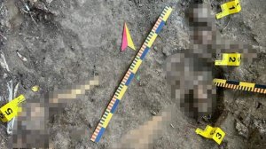 На Украине обнаружили ранее неизвестное массовое захоронение жертв Волынской резни