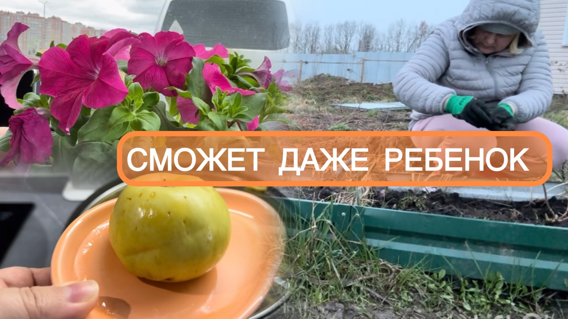 🟣МОЯ РАБОТА 🧑💼/МНОГО ДЕЛ НА УЧАСТКЕ🏠/ПЕЧЕНОЕ ЯБЛОКО 🍏