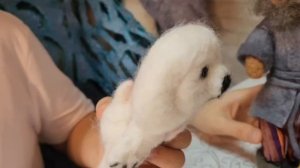 Визитка для конкурса