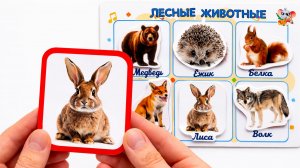 Лесные животные для детей 🦊 Учим животных | Развивающее видео для малышей