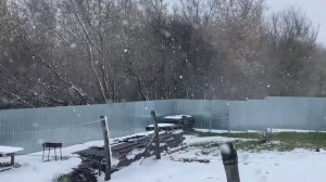 20 апреля❄️ Зима вернулась❄️А снег идёт ❄️