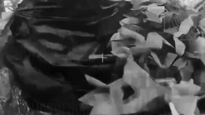 💥Уничтожение станции РЭБ "Бетон": кто производит вражеский комплекс радиоэлектронной борьбы