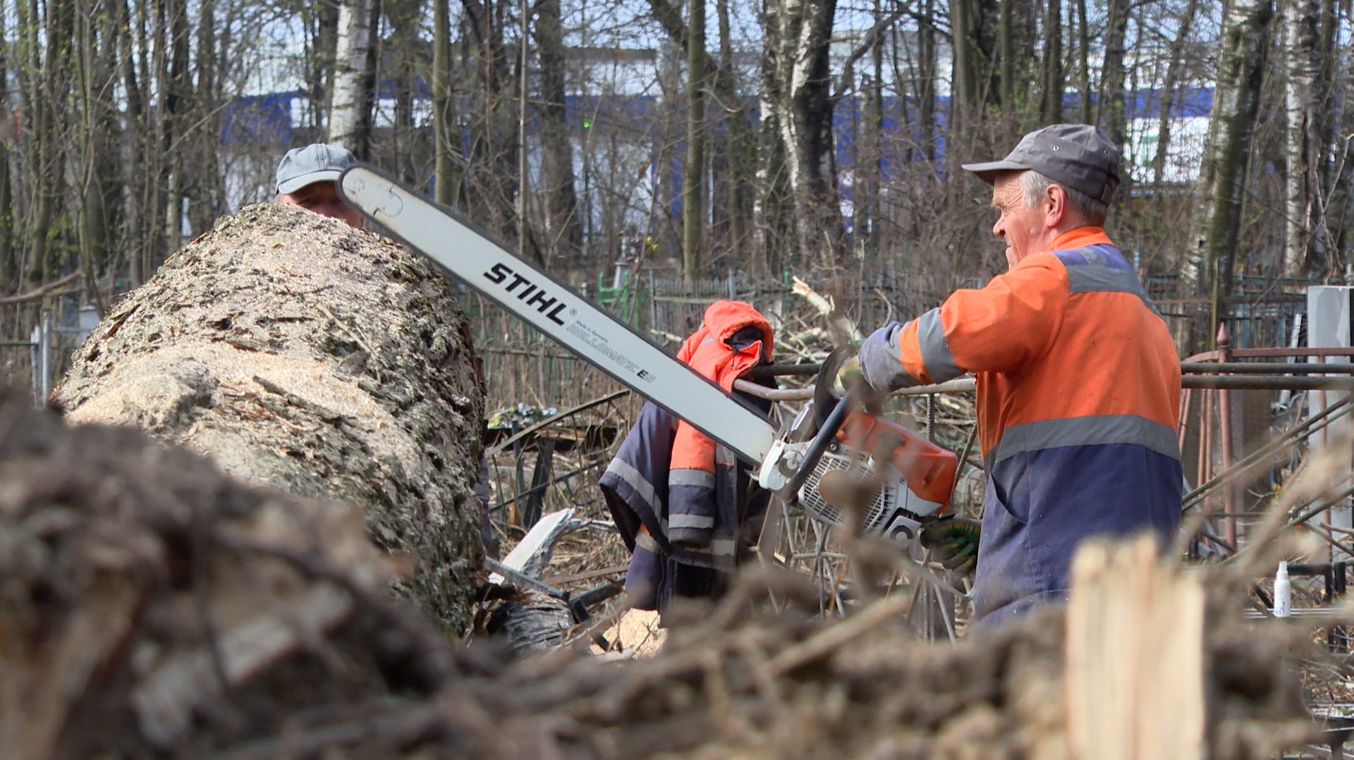 Упавшие деревья на кладбище