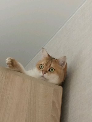 конец уроков математика