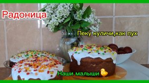 22-04-2026 Мечты сбываются//Переехали на юг//Готовимся к Радонице//Пеку куличи ,блины//Цыплята//