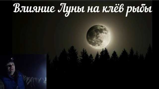 Влияние Луны на Клёв рыбы.