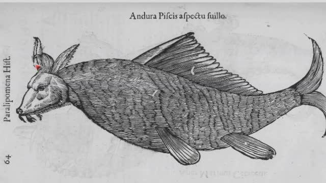 История Монстров. Книга Шедевр 1642 года.