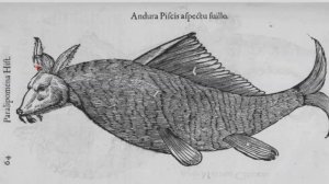 История Монстров. Книга Шедевр 1642 года.