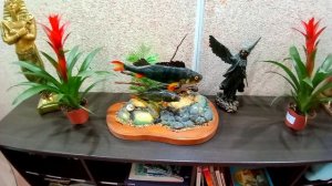 МЕДИЦИНСКИЙ ЦЕНТР : ДОМ ЗДОРОВЬЯ