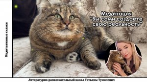 Медитация  с Барсиком "Вы сами создаете свою реальность"