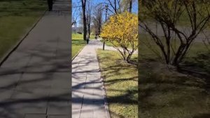 Привет от Анны из Латвии 22.04.26.