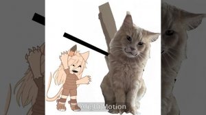 знакомьтесь это лёва мой кот :3