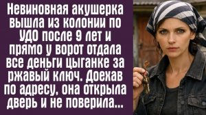 Слушать аудиокнигу. Житейские истории.  Невиновная акушерка вышла из колонии по УДО после 9 лет и