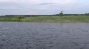 По рекам Водла и Шалица 2025