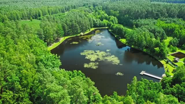 Fishing a GIANT Swimbait for Pond MONSTERS!