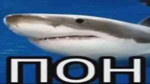 ТЯЯЯЯЯЯЯЯЯЯЯЯЯЯЯЯЯЯЯЯЯЯЯЯЯЯЯЯЯЯЯЯЯЯЯЯЯЯЯЯЯЯЯЯЯЯЯЯЯЯЯЯЯЯЯЯЯЯЯЯЯЯЯЯ