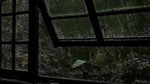 Дождь в лесу | Шум дождя для сна 1 час | Сильный дождь — глубокий сон | Дождь для расслабления