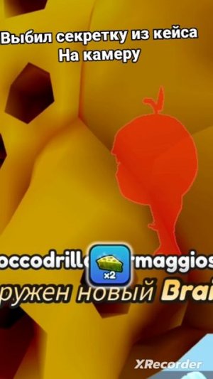 Выбил секретку с кейса на камеру