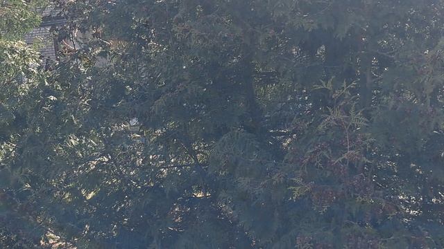 22.04.26# Спонтанное видео#