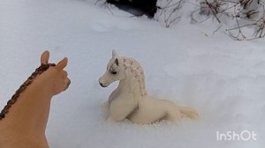 "О чем мечтает Цезарь" 1 серия 1 сезона