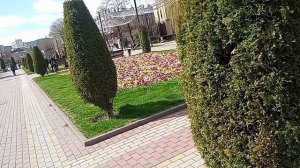 Кисловодск, глазами Крокодила🐊. Курортный бульвар. 22.04.2026 г.