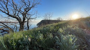 Правый берег Волги 16.04 -17.04.2026