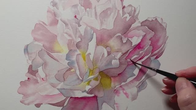 Смешиваем акварели, чтобы нарисовать пион.