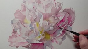 Смешиваем акварели, чтобы нарисовать пион.