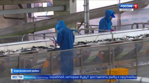 "Вести. Сахалин. Курилы". 21 апреля 2026 года