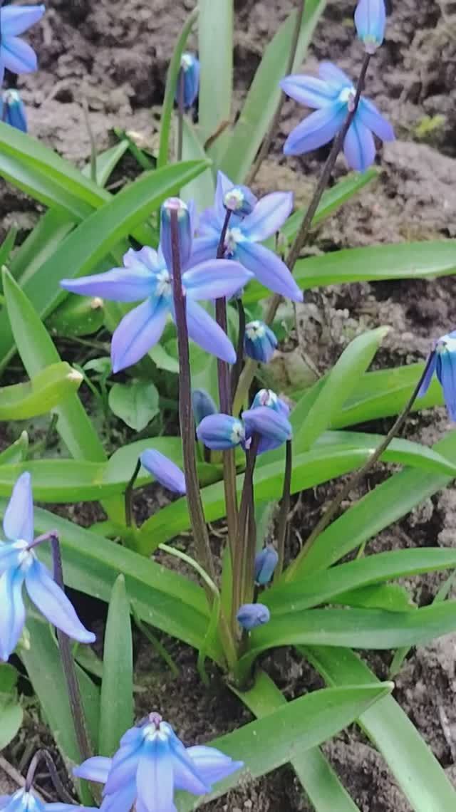 Красота рядом. #лайфкоуч #природа